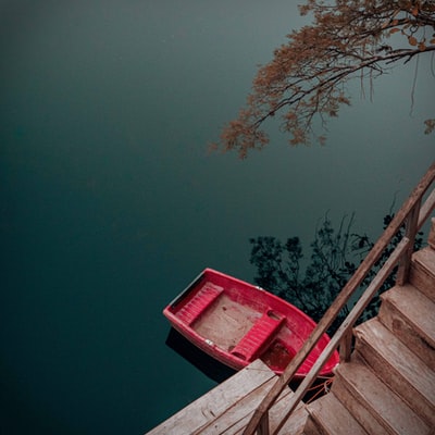 During the day, the bare trees red brown wooden pier
